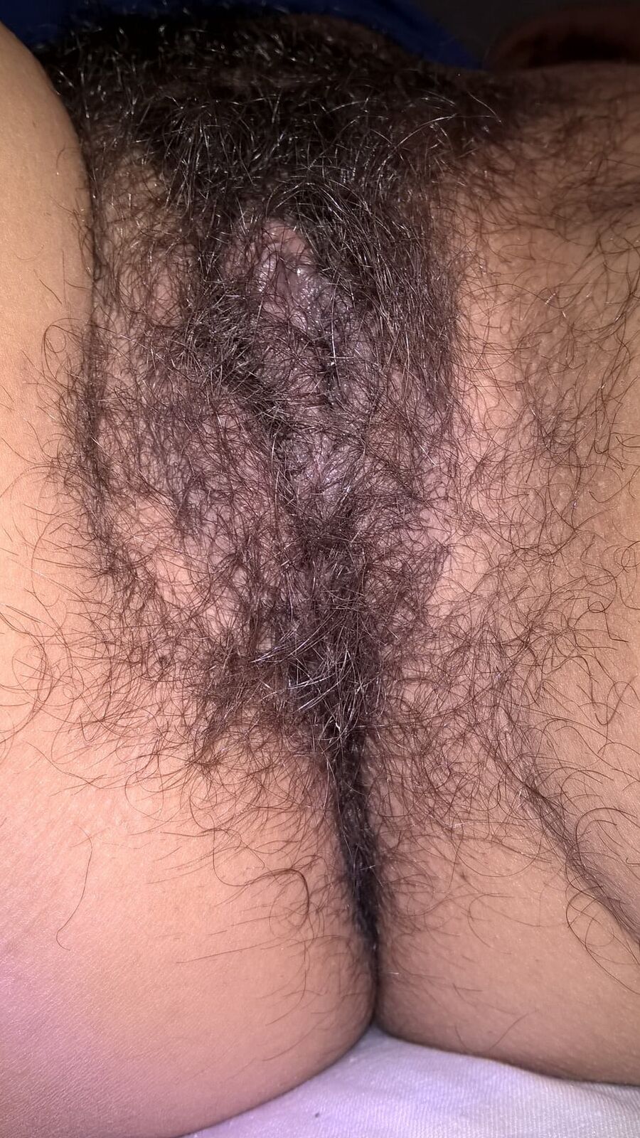Close up of my beautiful wife's hairy pussy