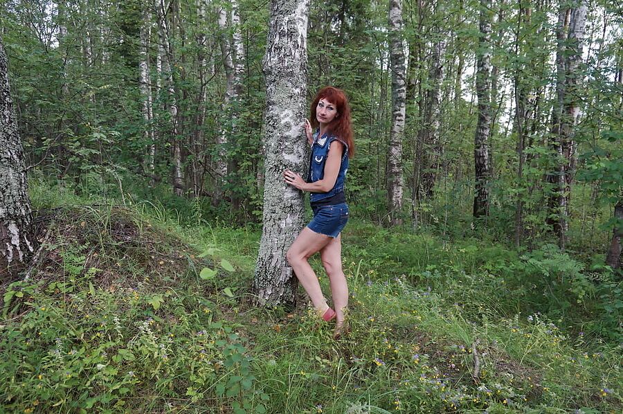 In birch Forest