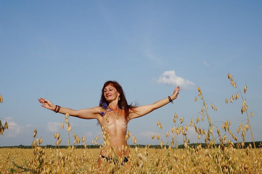 In evening field with bluebottle