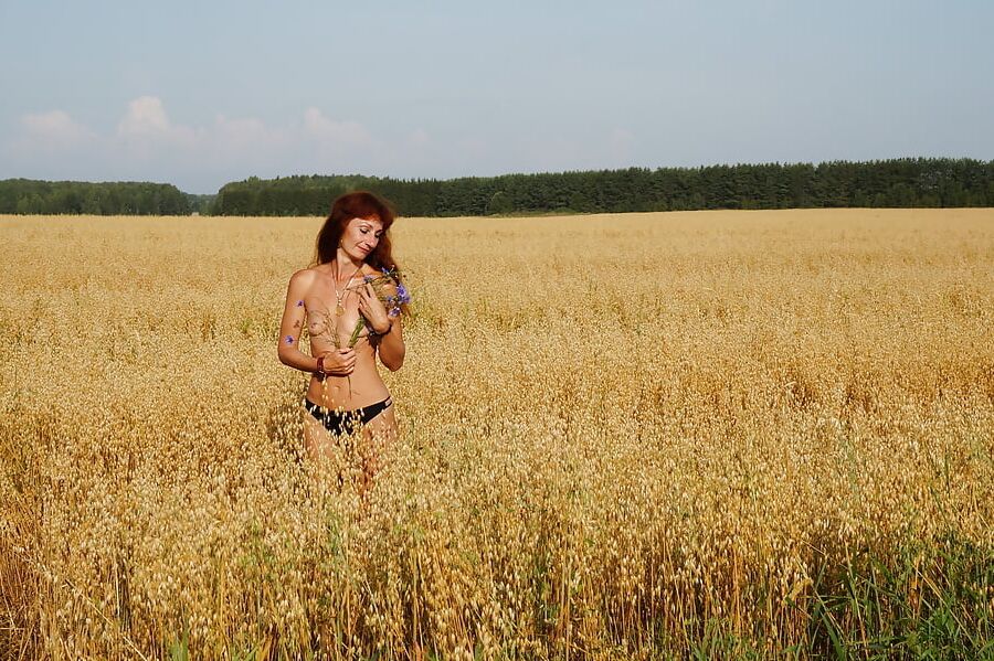 In evening field with bluebottle