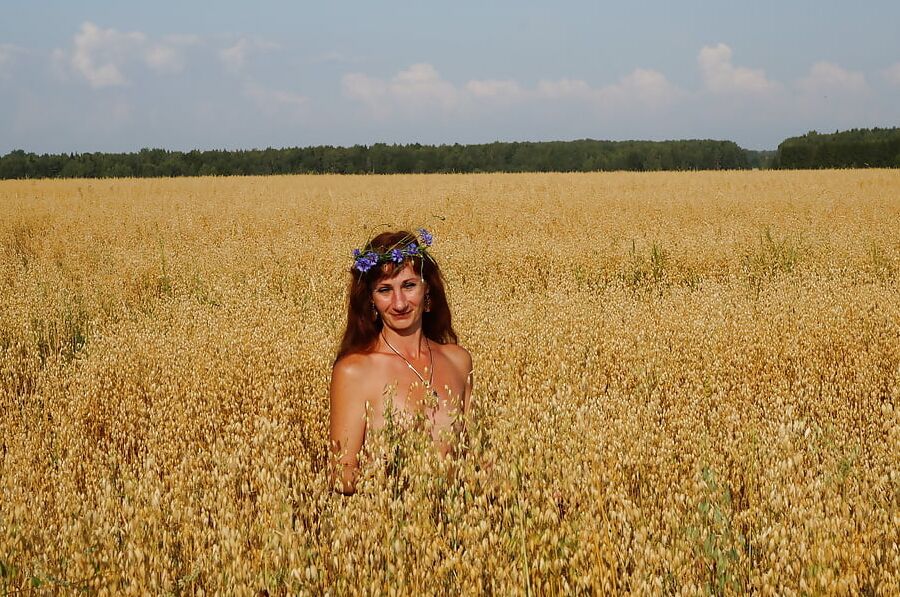 In evening field with bluebottle