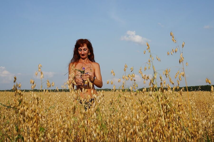 In evening field with bluebottle