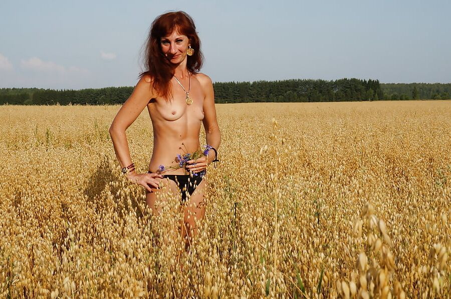 In evening field with bluebottle