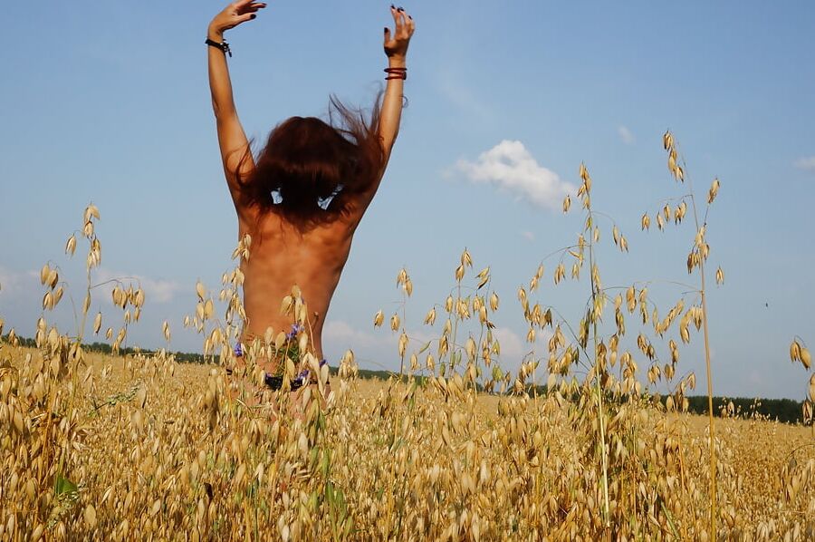 In evening field with bluebottle