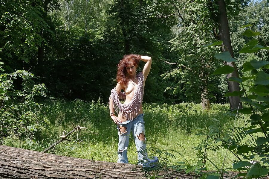 In Timiryazev-park, Moscow, Russia