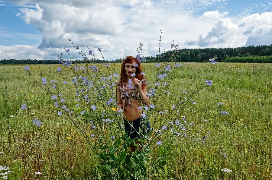 In spring Field