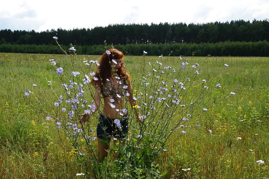 In spring Field