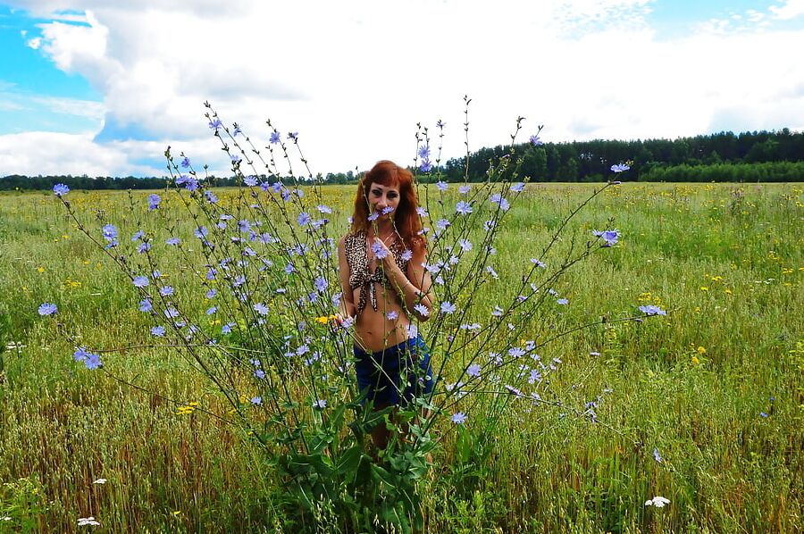 In spring Field