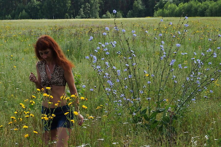 In spring Field