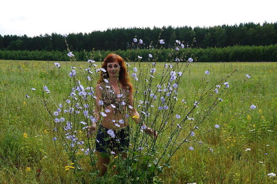 In spring Field