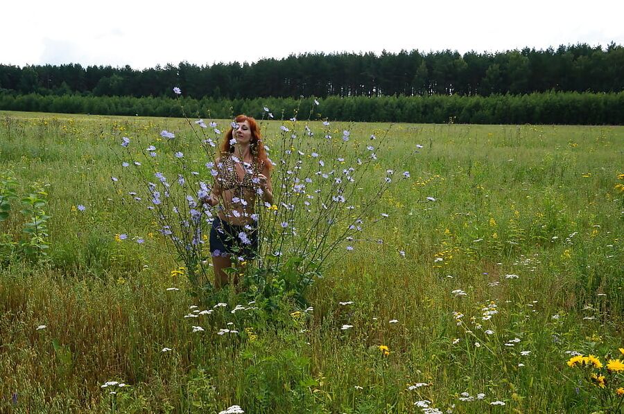 In spring Field