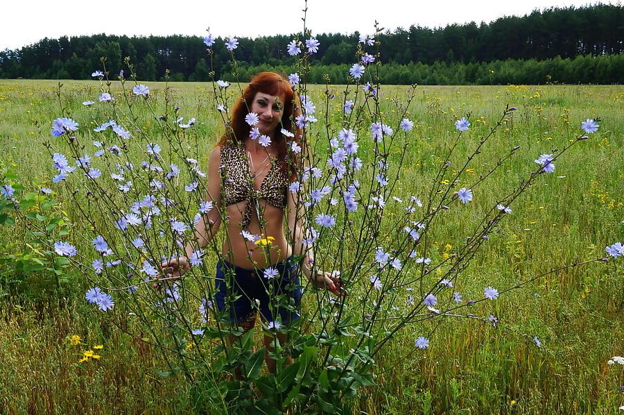 In spring Field