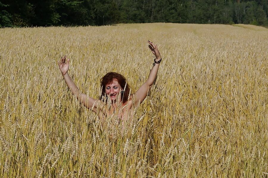 In golden field