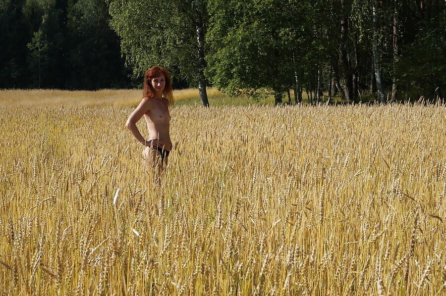 In golden field