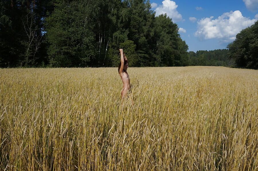 In golden field