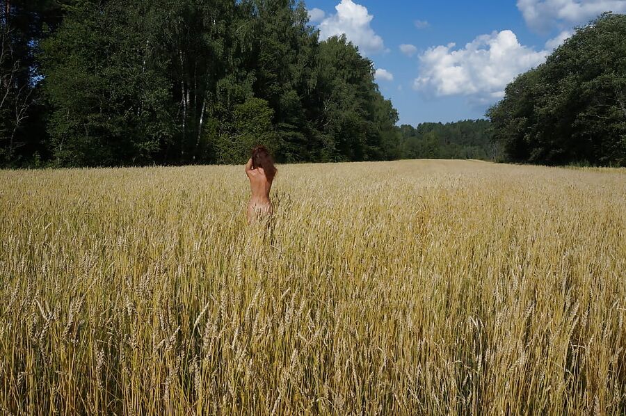 In golden field