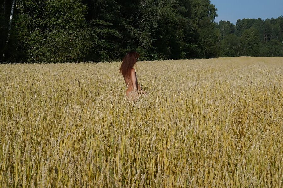 In golden field