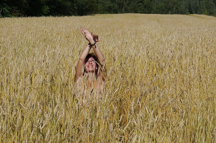 In golden field
