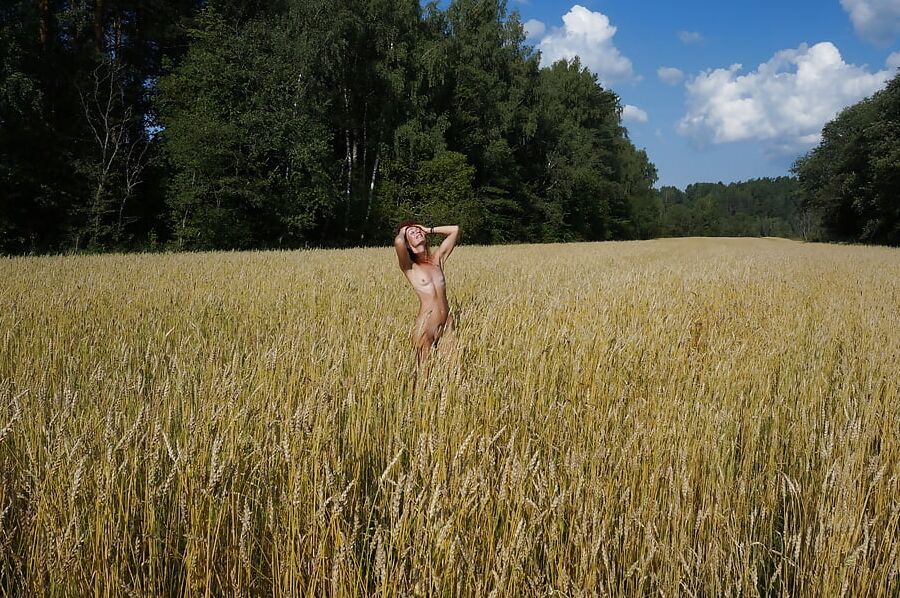 In golden field