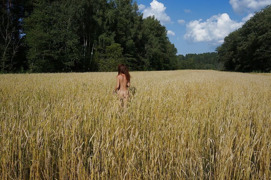 In golden field