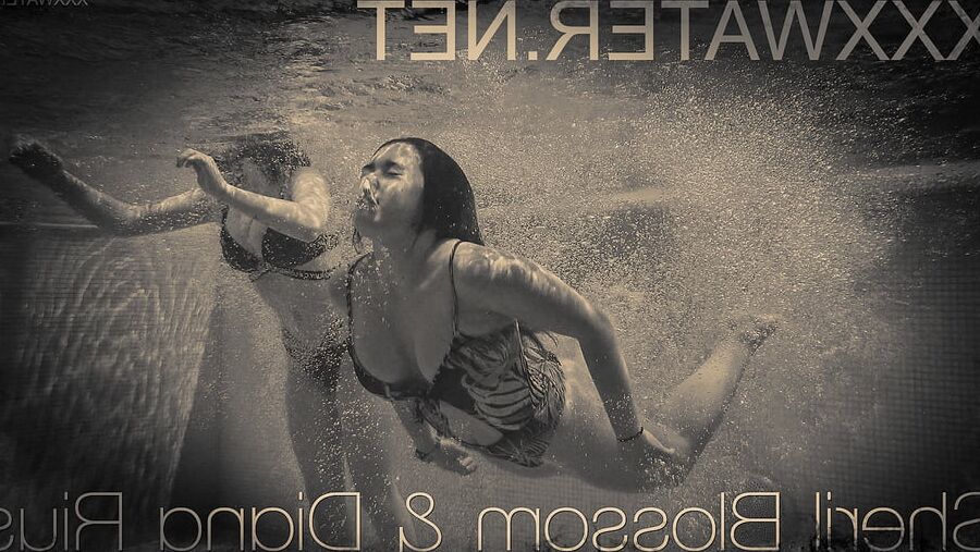UnderWaterShow