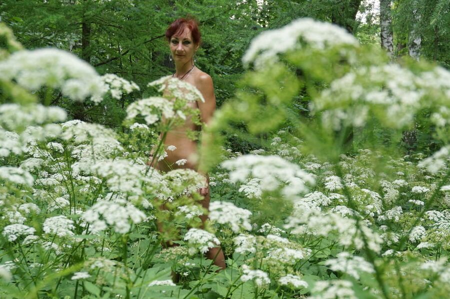 In White Flowers 4