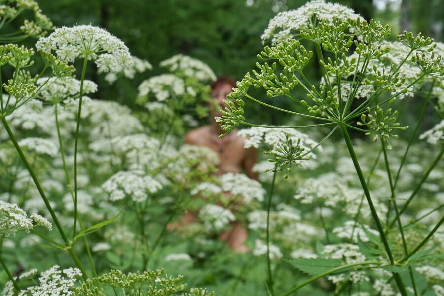 In White Flowers 4