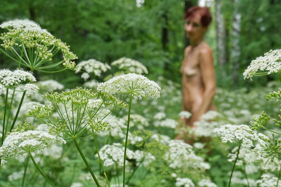 In White Flowers 4