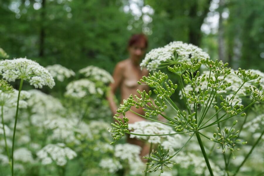 In White Flowers 4