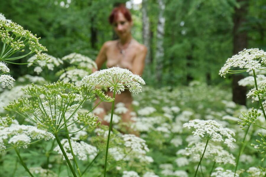 In White Flowers 4