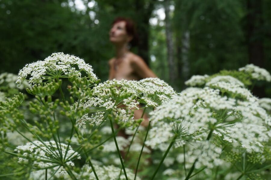 In White Flowers 3