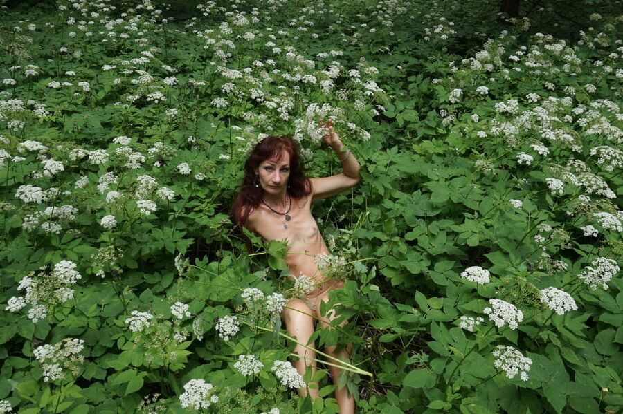 In White Flowers 2