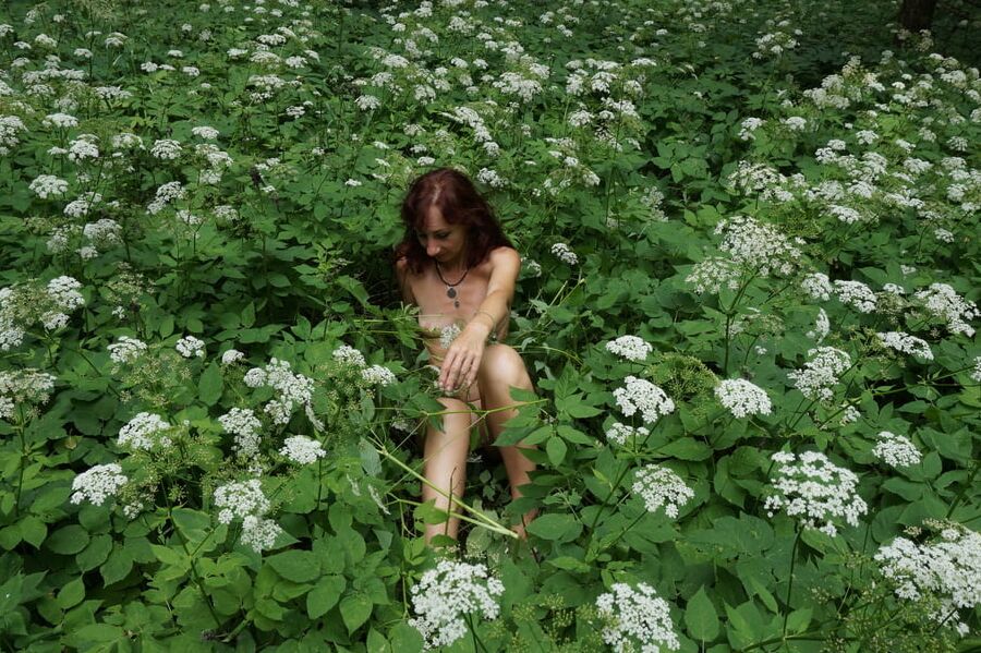 In White Flowers 2