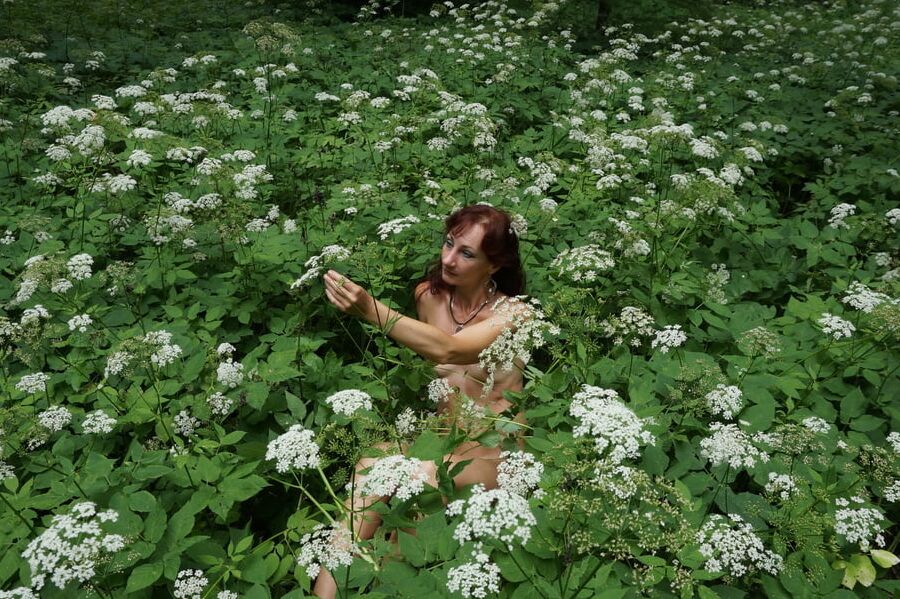 In White Flowers 2