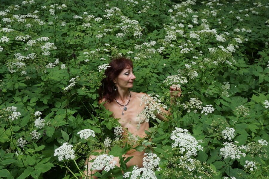 In White Flowers 2