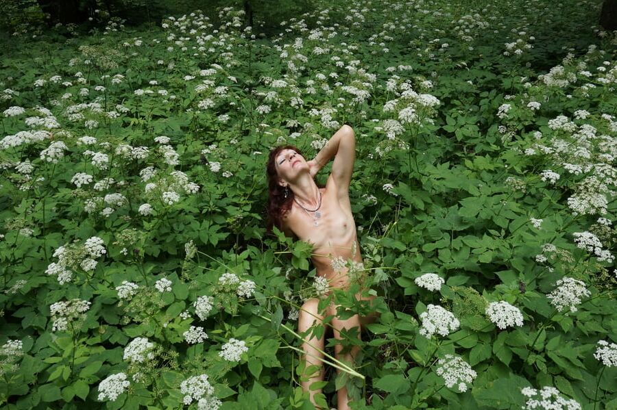 In White Flowers 2