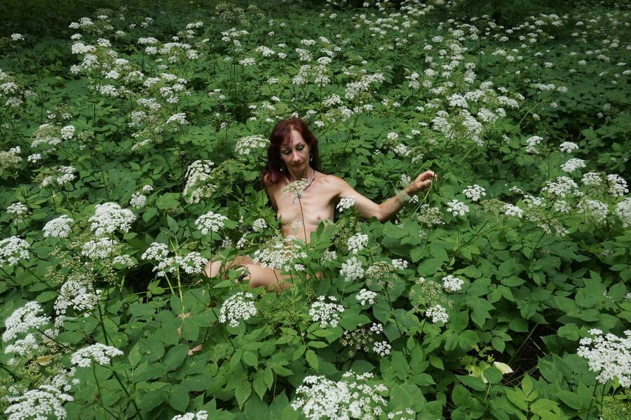 In White Flowers 2