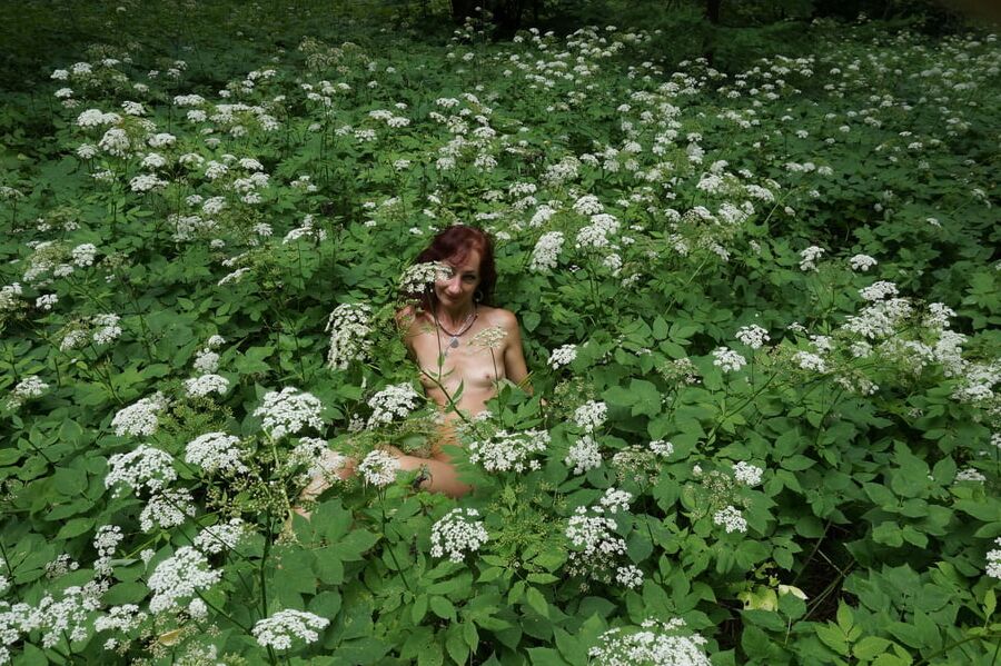 In White Flowers 2