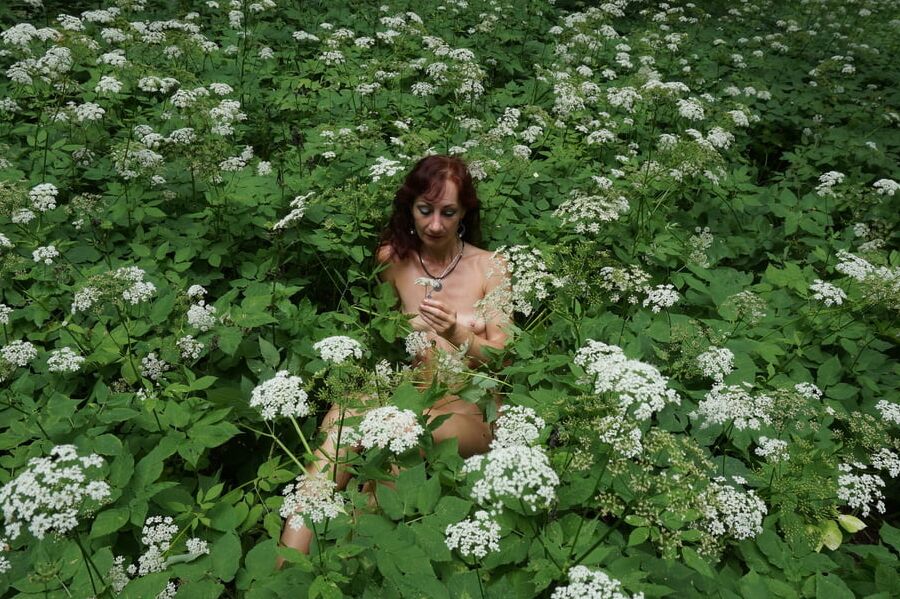 In White Flowers 2
