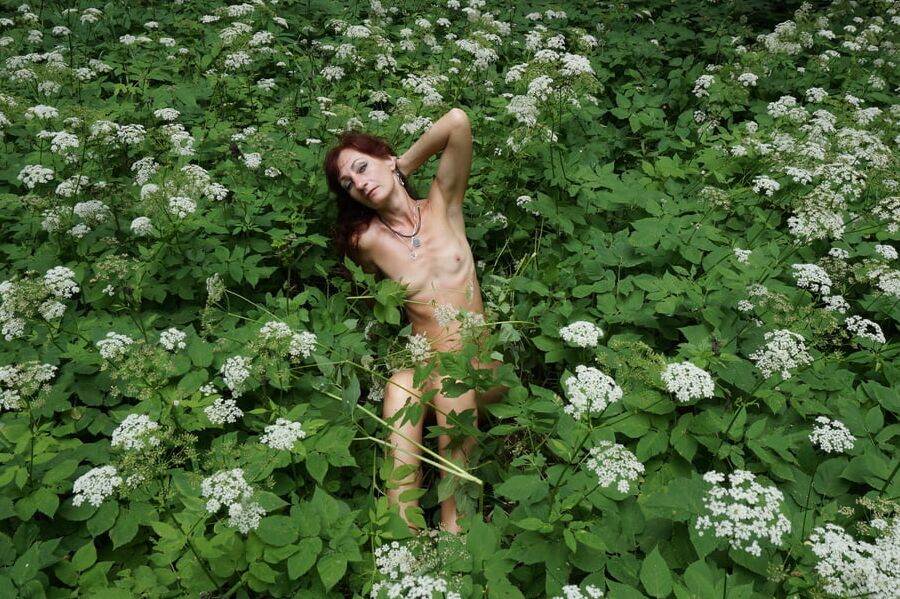 In White Flowers 2