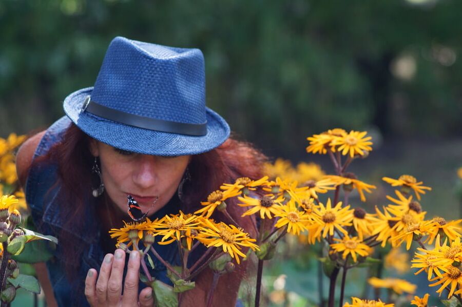 Kiss of Butterfly