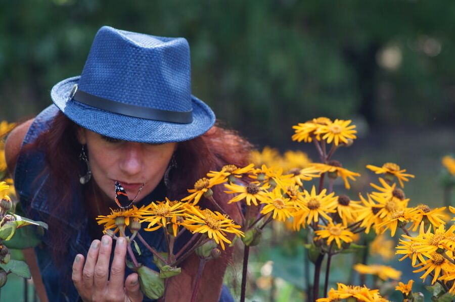 Kiss of Butterfly