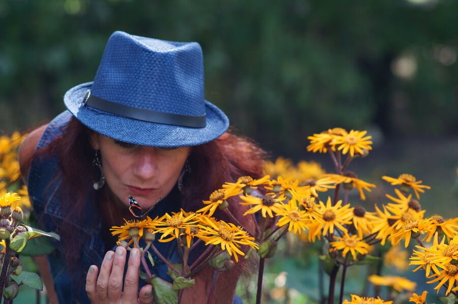 Kiss of Butterfly