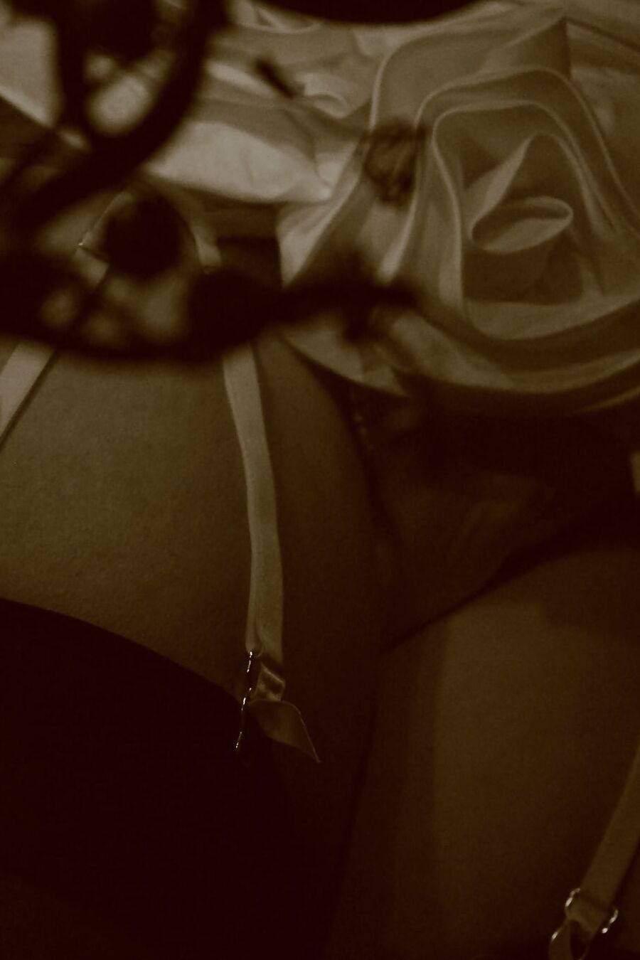 Reveillon - Chapitre 1