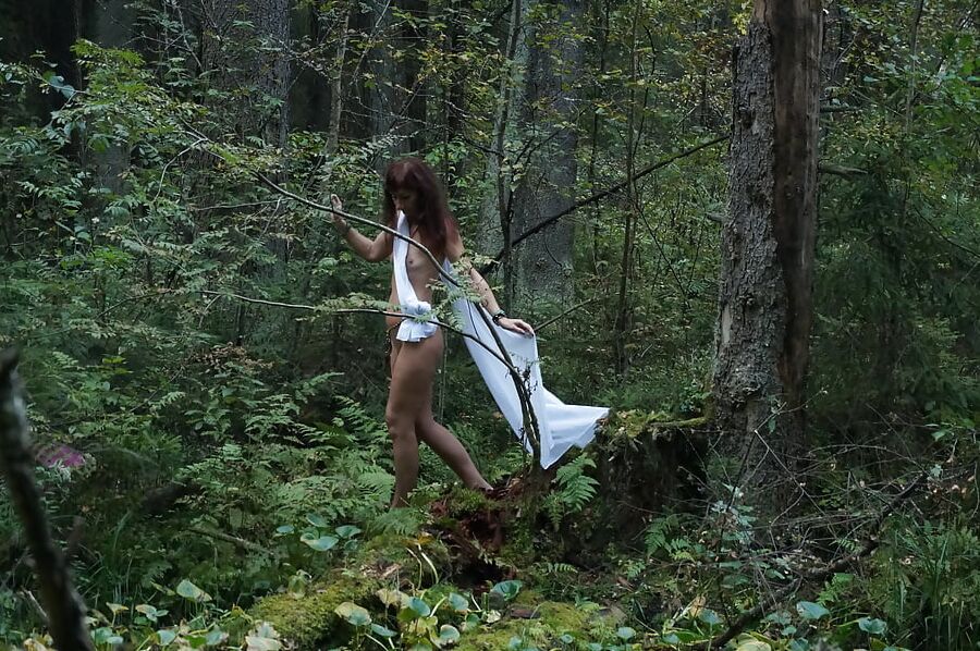 Forest Nimph