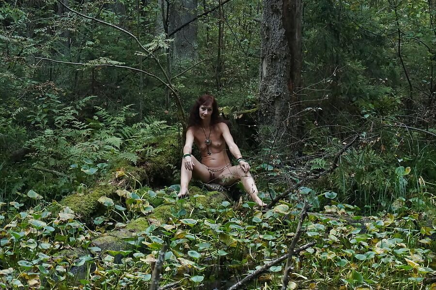 Forest Nimph