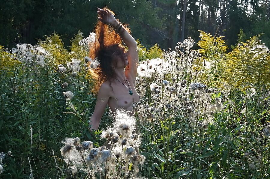 In Evening field