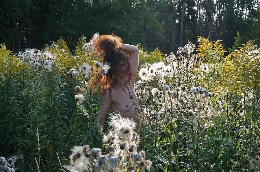 In Evening field