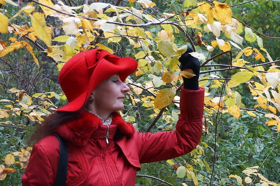 Red and Yellow (Fall Album)