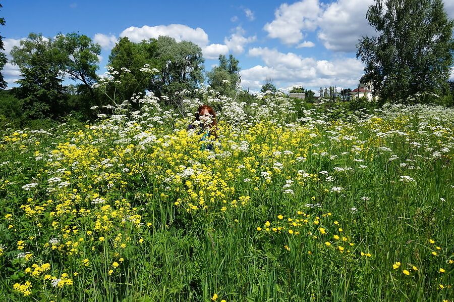 My Wife in White Flowers (near Moscow)